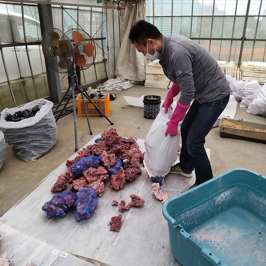 環境保護に役立つ「人工ライブロック」の製作を開始～利用者様の創造性を生かしたリズムの就労活動～